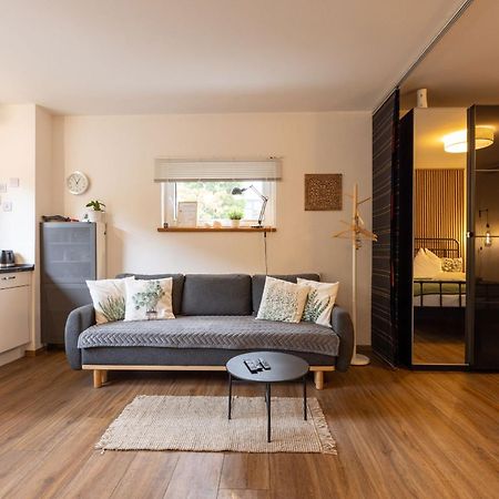 Ideal Fuer Kurze Aufenthalte - Gemuetliches 1-Zimmer-Apartment Adelsdorf Екстер'єр фото